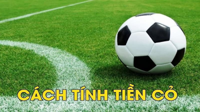 Cách tính tiền cỏ đơn giản nhưng hiệu quả: Bí mật từ chuyên gia