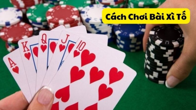 Hướng dẫn cách chơi bài Xì Tố luôn thắng cho người mới tham gia